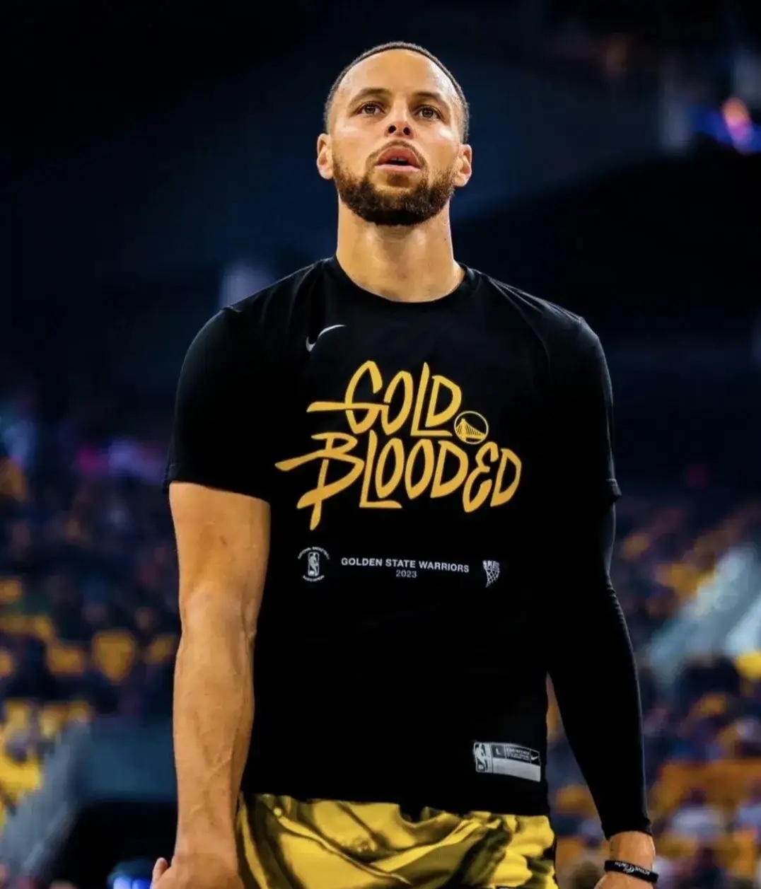 包含步行者队逆转制霸东部，取得重要胜利的词条